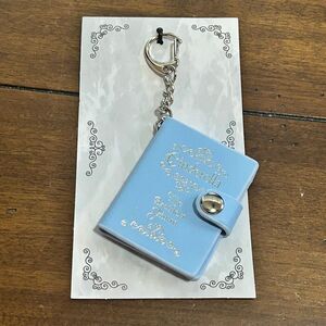 Cinderella Storybook Journal Keychain Litjoy Crate
